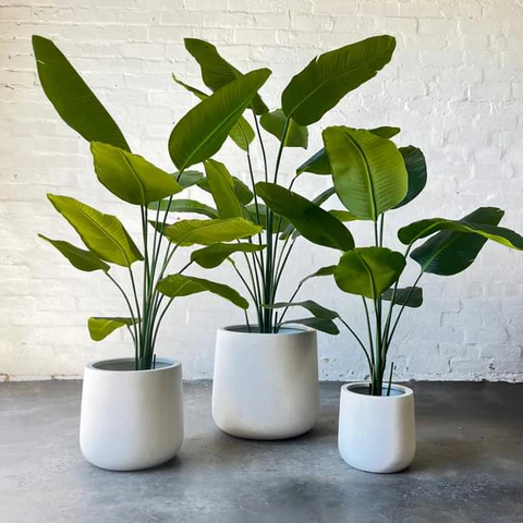 How Fake Plants Can Transform Your Interior Design Effortlessly