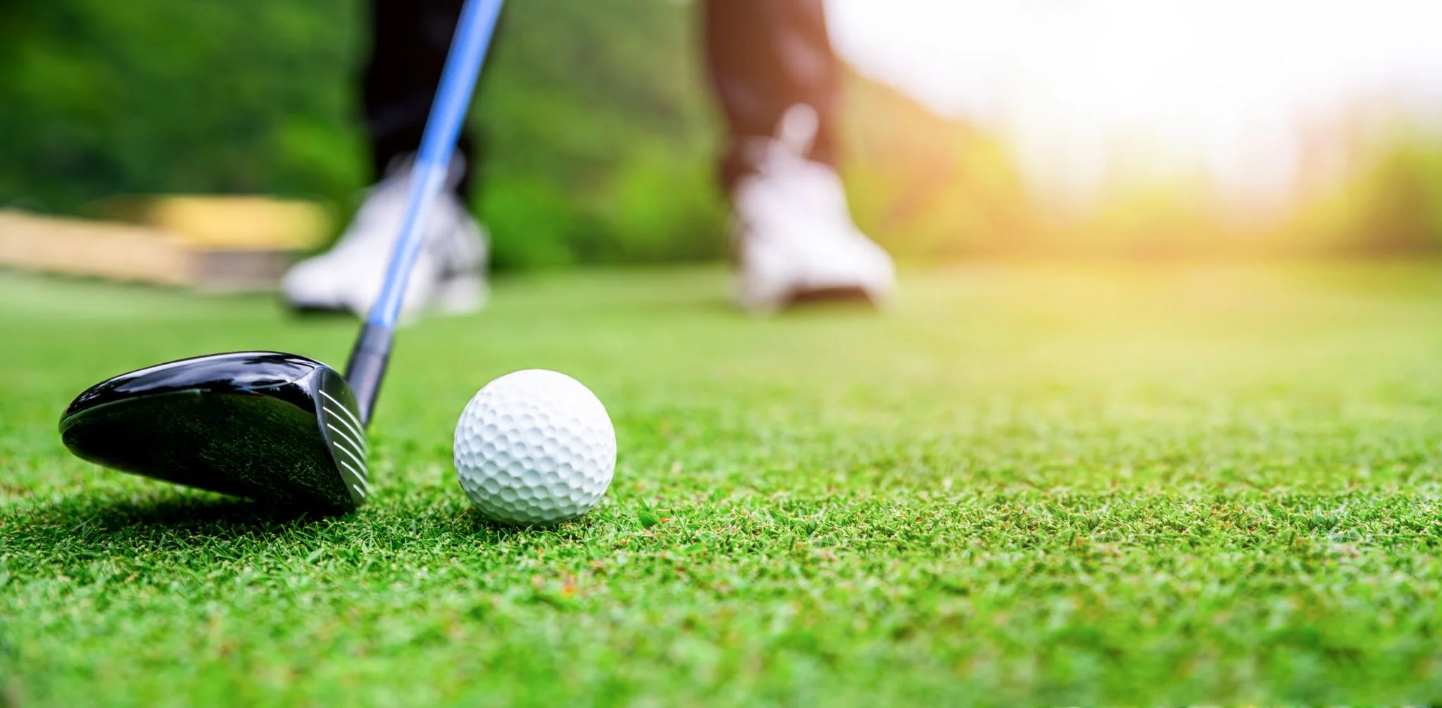 From Frustration to Fairways: Improve Your Game with ‘U Suck at Golf’